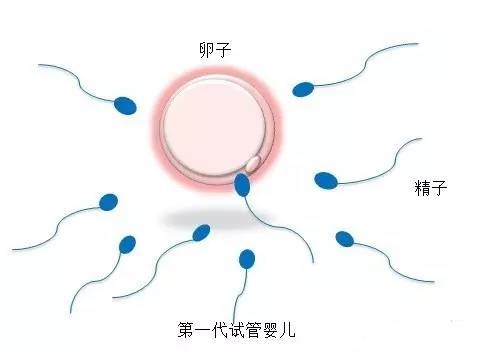 王医生